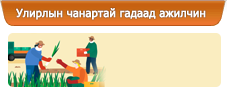 Улирлын чанартай гадаад ажилтан